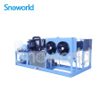 Snoworld Ice Block Making Machine Price